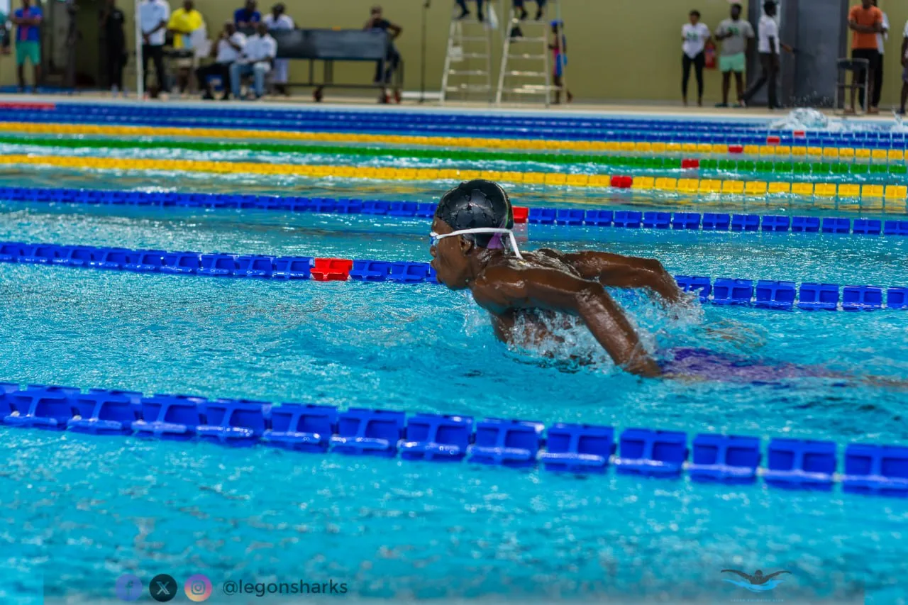 Butterfly stroke at competition